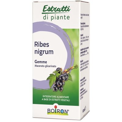 RIBES NIGRUM MG 60ML INT BO RIBES NIGRUM MG 60ML INT BO