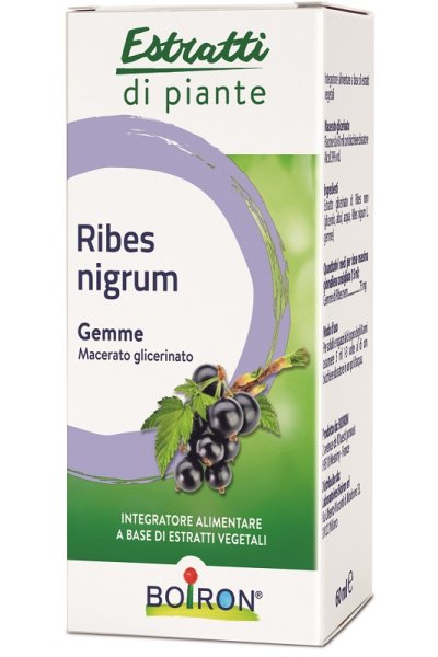 RIBES NIGRUM MG 60ML INT BO RIBES NIGRUM MG 60ML INT BO