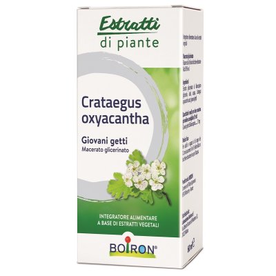CRATAEGUS OXY MG 60ML INT BO CRATAEGUS OXY MG 60ML INT BO