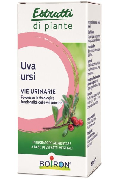 UVA URSINA EI 60ML INT BO UVA URSINA EI 60ML INT BO