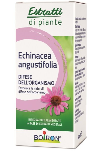 ECHINACEA ANG ESTR IAL 60ML ECHINACEA ANG ESTR IAL 60ML