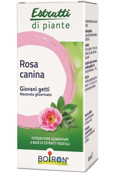 ROSA CANINA MG 60ML INT BO ROSA CANINA MG 60ML INT BO