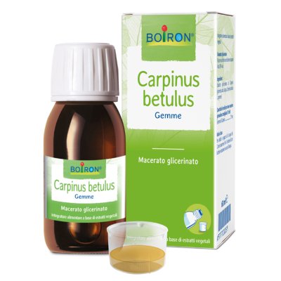 CARPINUS BETULUS MG 60ML INT BO CARPINUS BETULUS MG 60ML INT BO