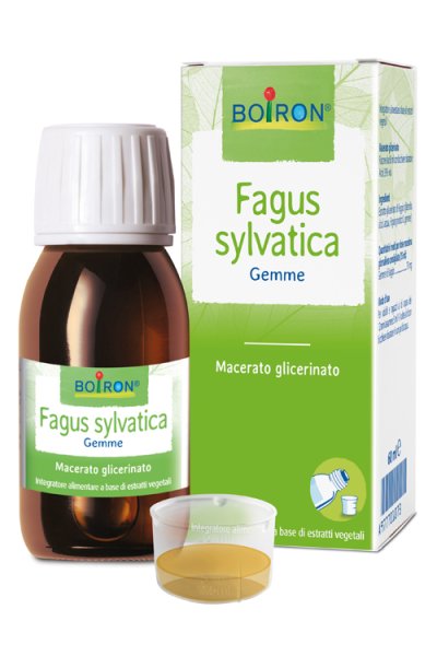 FAGUS SYLVATICA MG 60ML INT FAGUS SYLVATICA MG 60ML INT