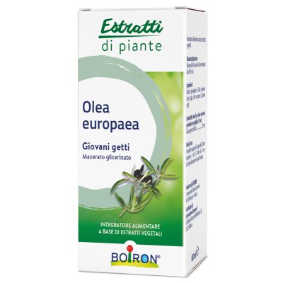 OLEA EUROPAEA MG 60ML INT BO