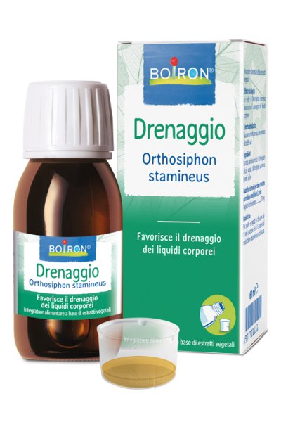 ORTHOSIPHON STA EI 60ML INT BO ORTHOSIPHON STA EI 60ML INT BO