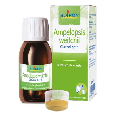 AMPELOPSIS WEI MG 60ML INT BO AMPELOPSIS WEI MG 60ML INT BO