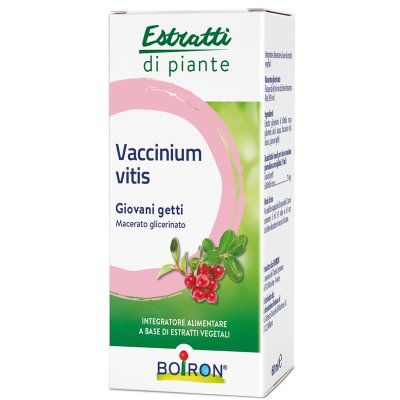 VACCINIUM VITIS MG 60ML INT BO