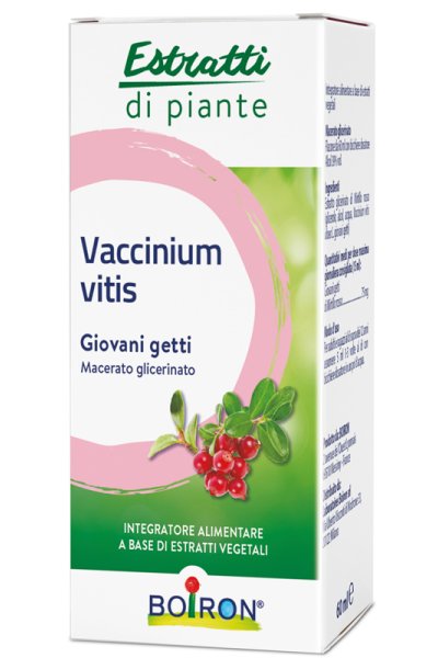 VACCINIUM VITIS MG 60ML INT BO VACCINIUM VITIS MG 60ML INT BO