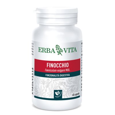 FINOCCHIO 60CPS EBV