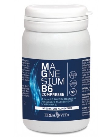 MAGNESIUM B6 60CPR EBV