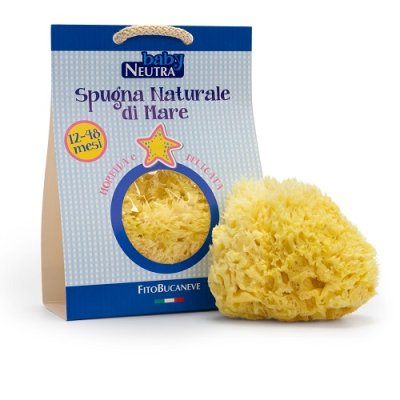 BABY NEUTRA SPUGN NAT12/48MESI BABY NEUTRA SPUGN NAT12/48MESI