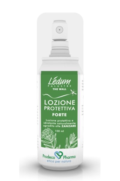 LEDUM THE WALL LOZ PROT FT LEDUM THE WALL LOZ PROT FT