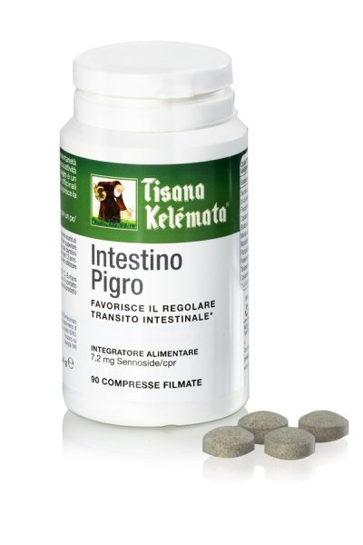 TISANA INTESTINO PIGRO 90CPR TISANA INTESTINO PIGRO 90CPR