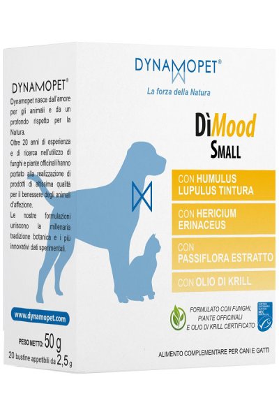 DIMOOD SMALL 20BUST DIMOOD SMALL 20BUST