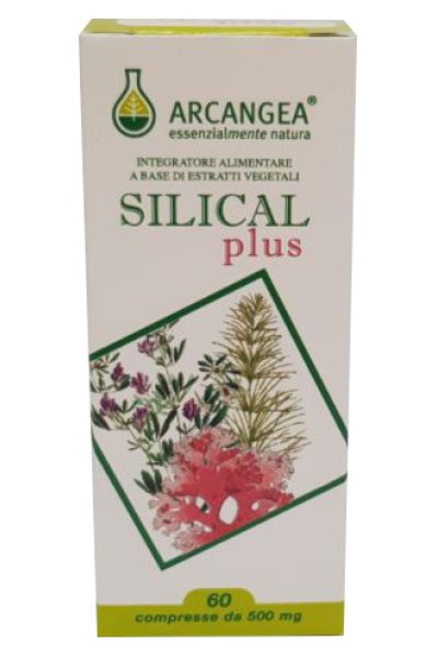 SILICAL PLUS 60CPR SILICAL PLUS 60CPR