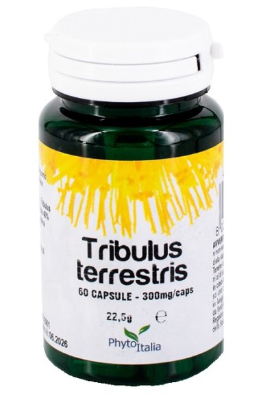 TRIBULUS TERRESTRIS 30CPS TRIBULUS TERRESTRIS 30CPS