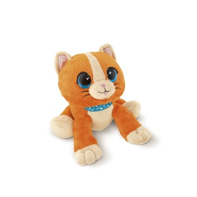 CH Gioco Dolce Gattino Cucu' CH Gioco Dolce Gattino Cucu'