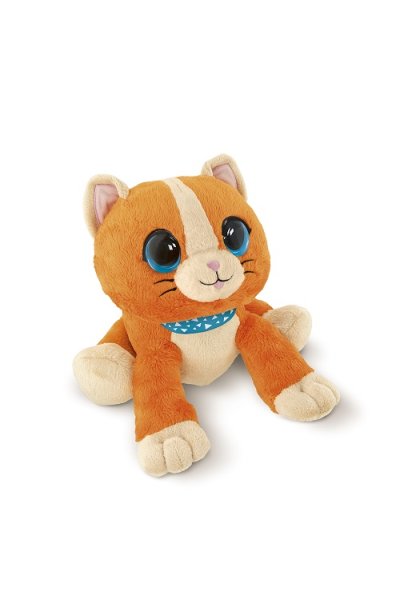 CH Gioco Dolce Gattino Cucu' CH Gioco Dolce Gattino Cucu'