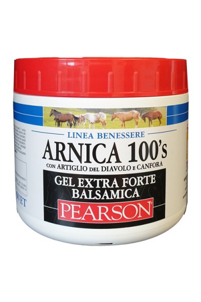 ARNICA 100 S EXTRA FORTE BALSA ARNICA 100 S EXTRA FORTE BALSA