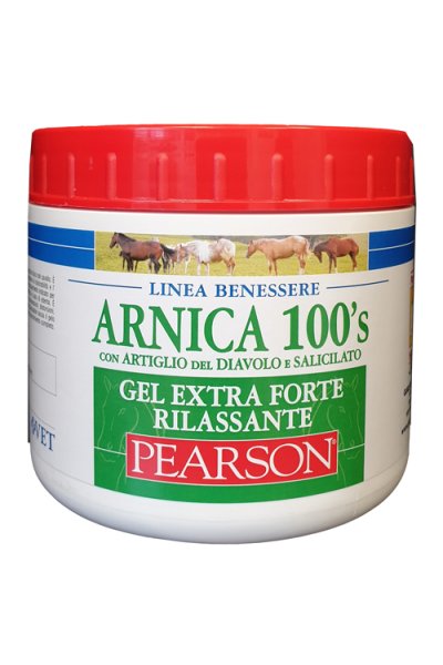 ARNICA 100'S EXTRA FT RIL500ML ARNICA 100'S EXTRA FT RIL500ML