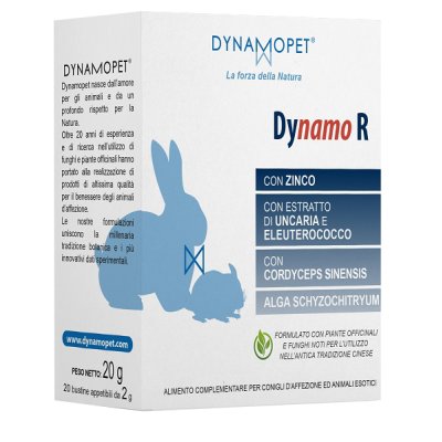 DYNAMO R 20BUST 2G DYNAMO R 20BUST 2G