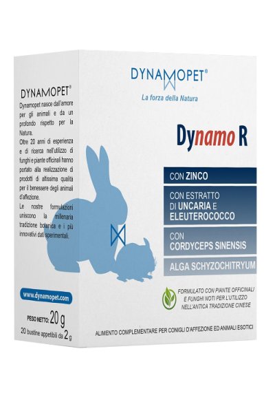 DYNAMO R 20BUST 2G DYNAMO R 20BUST 2G