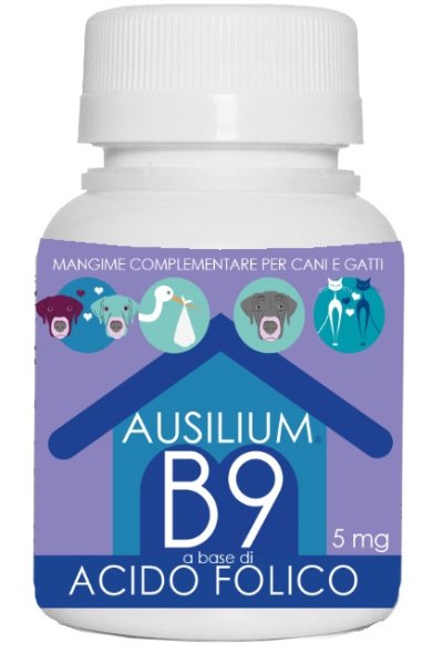 AUSILIUM B9 ACIDO FOLIC 100G VET AUSILIUM B9 ACIDO FOLIC 100G VET