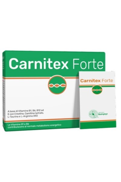 CARNITEX FORTE 14BUST CARNITEX FORTE 14BUST