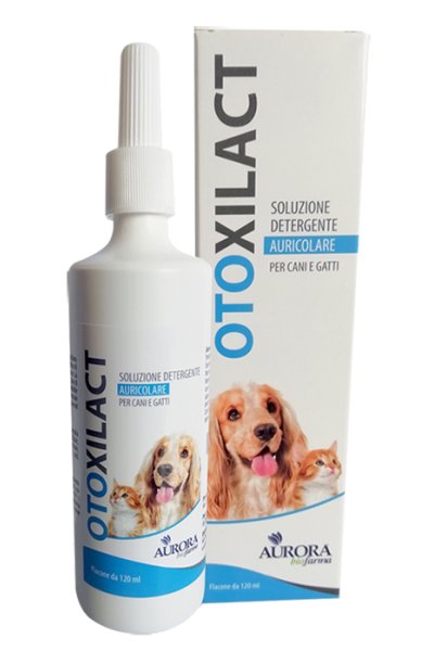 OTOXILACT DETERGENTE AURICOLA OTOXILACT DETERGENTE AURICOLA