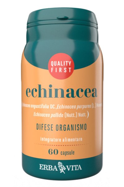 ECHINACEA 60CPS EBV ECHINACEA 60CPS EBV