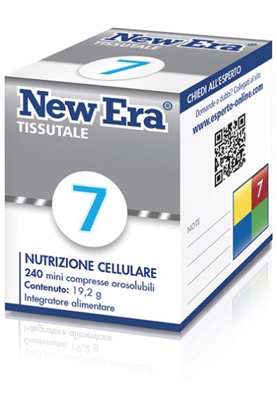 NEW ERA 7 240GR NEW ERA 7 240GR