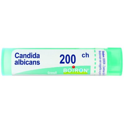 CANDIDA ALBICANS 200CH GR BO CANDIDA ALBICANS 200CH GR BO