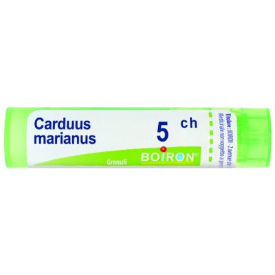CARDUUS MARIANUS 5CH GR BO CARDUUS MARIANUS 5CH GR BO
