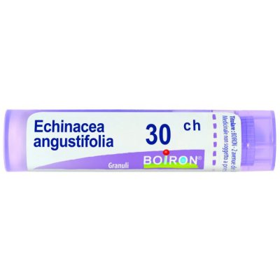 ECHINACEA ANGUSTIFOL 30CH GR BO ECHINACEA ANGUSTIFOL 30CH GR BO