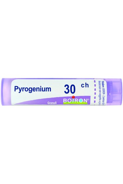 PYROGENIUM 30CH GR BO PYROGENIUM 30CH GR BO