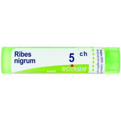 RIBES NIGRUM 5CH GR BO RIBES NIGRUM 5CH GR BO