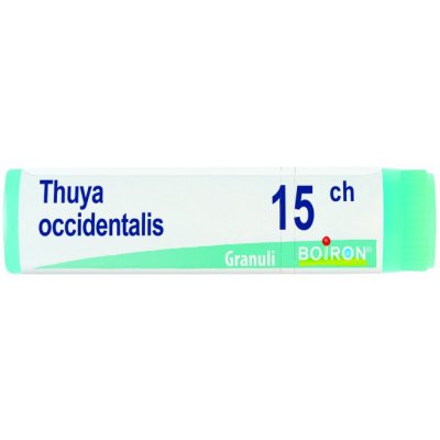 THUYA OCCIDENT 15CH GL BO THUYA OCCIDENT 15CH GL BO