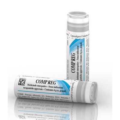 COMP REG GR GUNA COMP REG GR GUNA