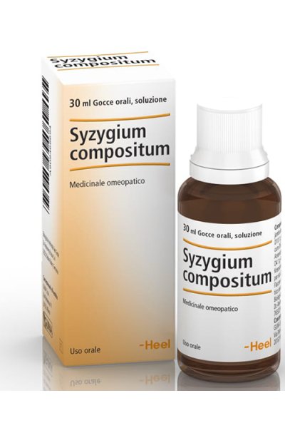 SYZYGIUM COMP GTT 30ML HEEL SYZYGIUM COMP GTT 30ML HEEL