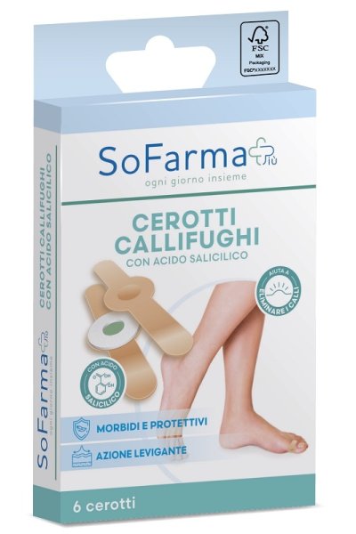 CEROTTO CALLIFUGHI TONDO 6PZ SF+ CEROTTO CALLIFUGHI TONDO 6PZ SF+