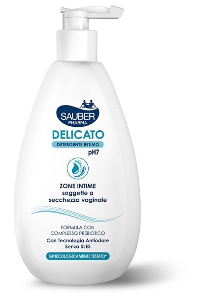 SAUBER DETERGENTE INT DEL500ML SAUBER DETERGENTE INT DEL500ML