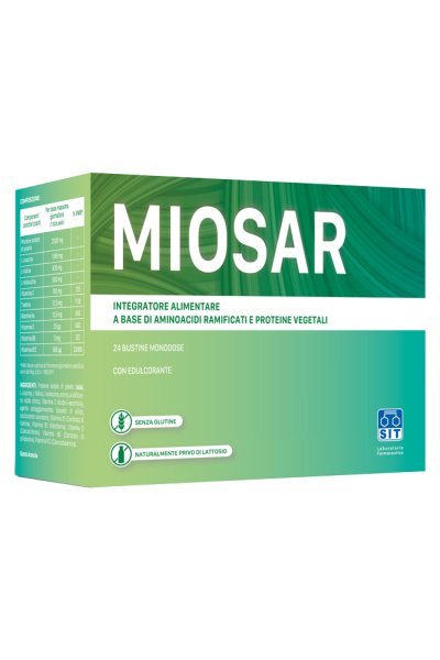 MIOSAR 24BUST MIOSAR 24BUST