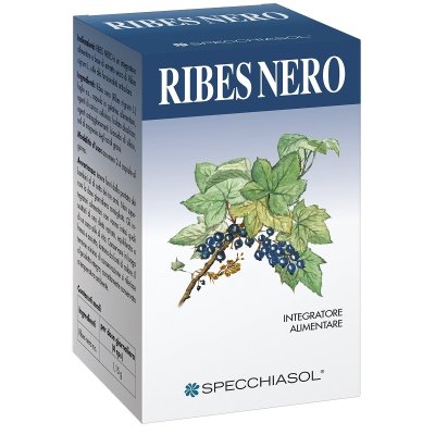 RIBES NERO 60 Cps      SPECCH. RIBES NERO 60 Cps      SPECCH.