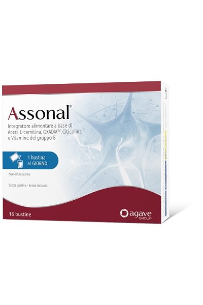 ASSONAL 16BUST ASSONAL 16BUST