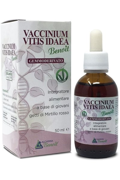 VACCINIUM VITIS IDAEA GEMM50ML VACCINIUM VITIS IDAEA GEMM50ML