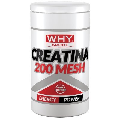 WHYSPORT CREATINA 200 MESH500G WHYSPORT CREATINA 200 MESH500G