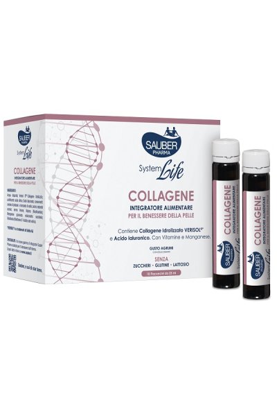 SAUBER SYSTEMLIFE ANTIETA'10FL SAUBER SYSTEMLIFE ANTIETA'10FL