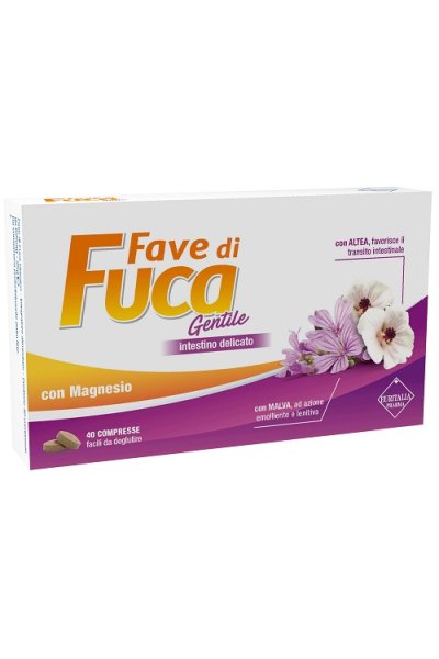 FAVE DI FUCA GENTILE 40CPR NEW FAVE DI FUCA GENTILE 40CPR NEW