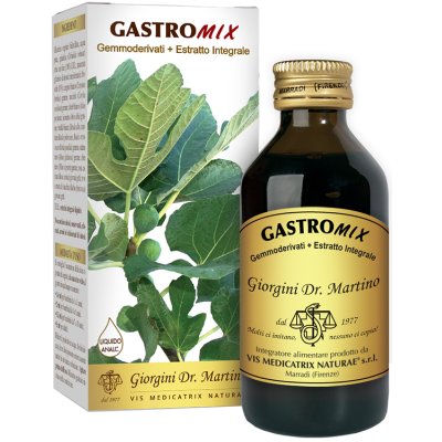 GASTROMIX LIQUIDO ANALC 100ML GASTROMIX LIQUIDO ANALC 100ML